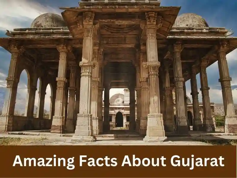 Amazing facts in hindi about gujarat