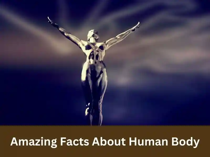 Amazing facts in hindi about human body