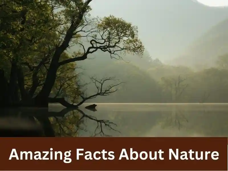 Amazing facts in hindi about nature