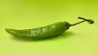 Green chilly