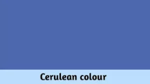 Cerulean colour