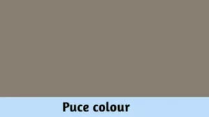 Puce Colour