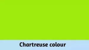 Chartreuse colour