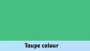 Taupe Colour