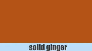 Solid Ginger