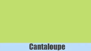 Cantaloupe colour