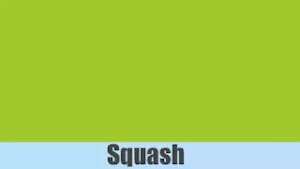 Squash colour