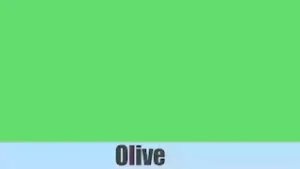 Olive colour