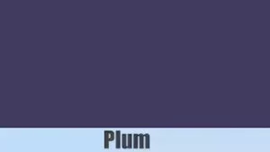 Plum colour