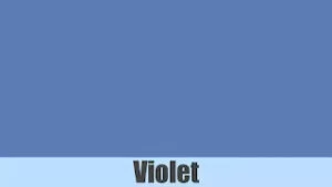 Violet colour