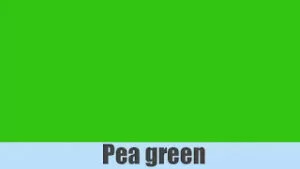 Pea Green colour