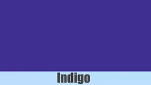 Indigo colour
