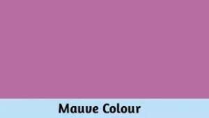 Mauve colour